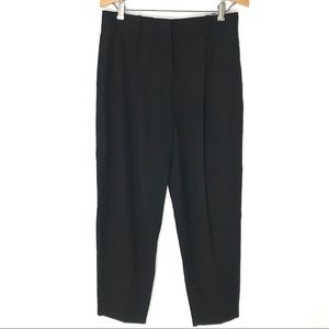 Everlane High Rise Pleated Wool Dress Pants